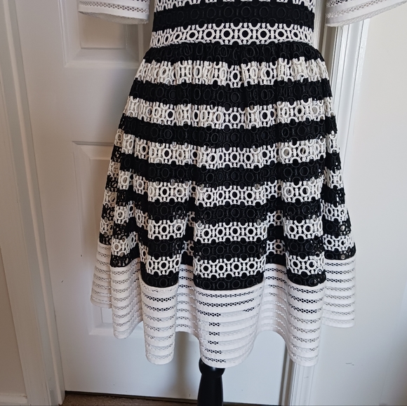 Alexis Amir Striped Crochet Pleated Dress - Picture 7 of 15